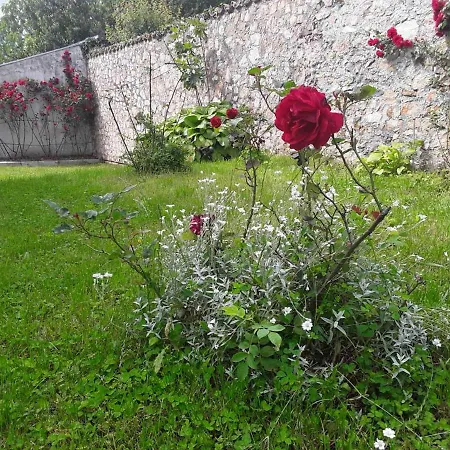 Ferienhaus Casa Bellavista Rijeka