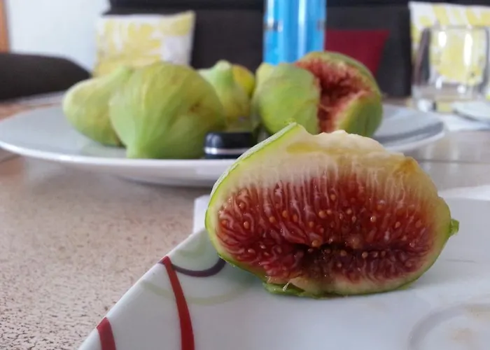 Prázdninový dům Casa Bellavista Rijeka